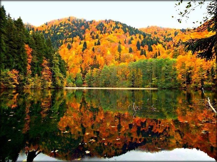 ნოემბერი - ძამას ხეობის ერთდღიანი ტური