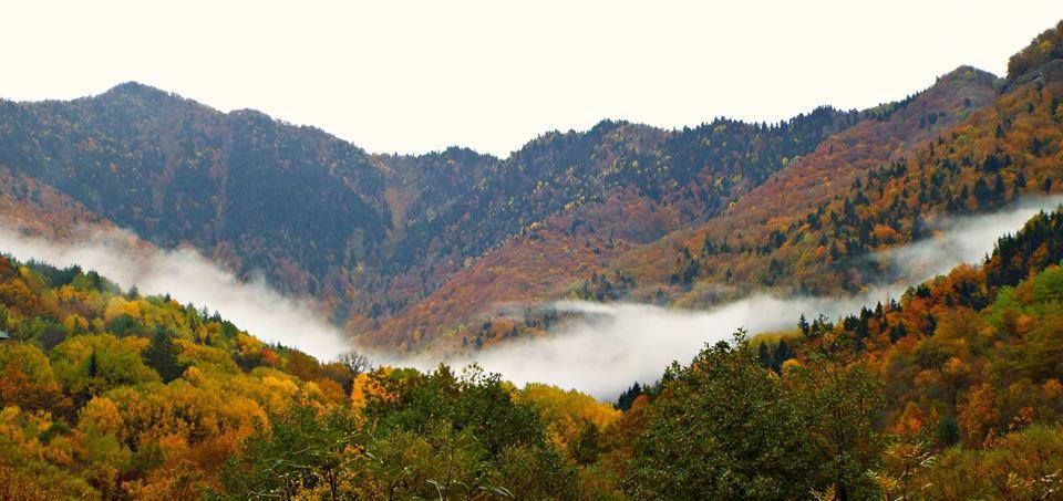 ნოემბერი - ძამას ხეობის ერთდღიანი ტური