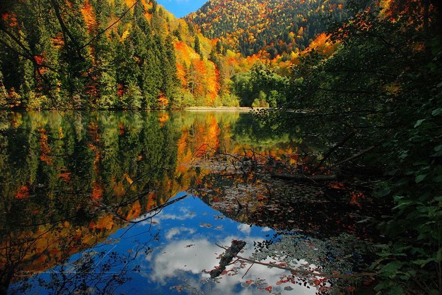 ნოემბერი - ძამას ხეობის ერთდღიანი ტური