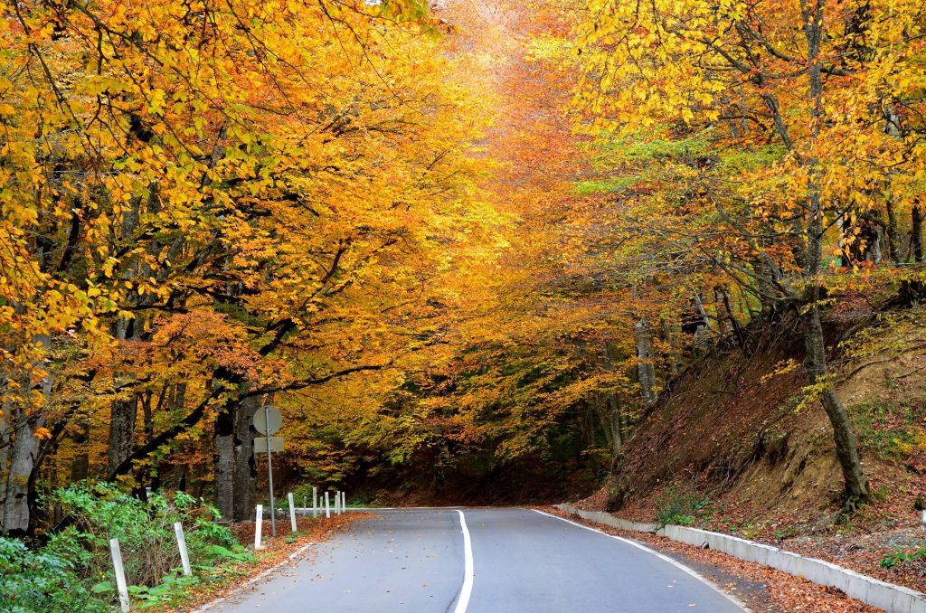 ოქტომბერი - საბადურის ტური