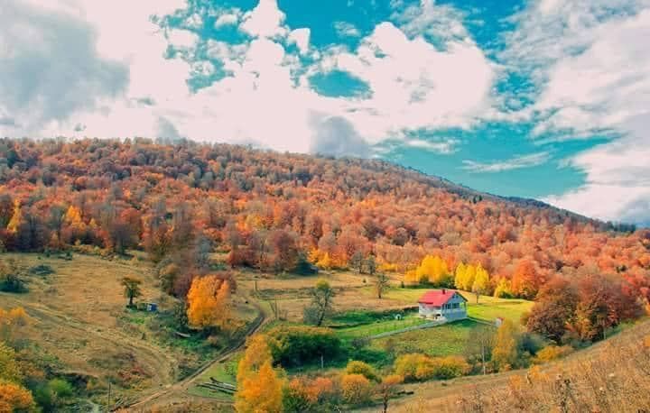 მოირონინე გოსტიბე ნოემბერს