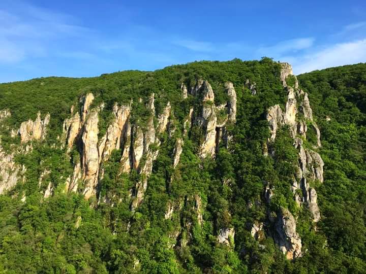 ორდღიანი ჯიპ-ტური ვაშლოვანის ნაკრძალში ❤️