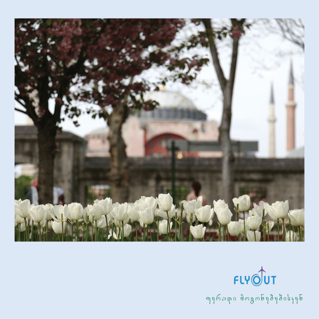 თურქეთი/სტამბოლი