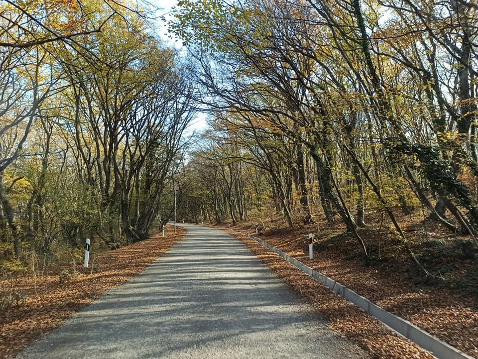 ზედაზენი, ნავდარაანთკარი, ბზიანა