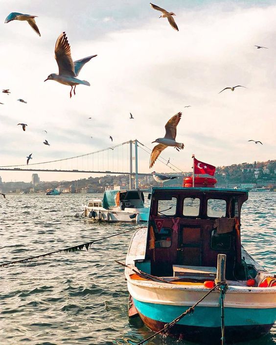 სტამბოლი