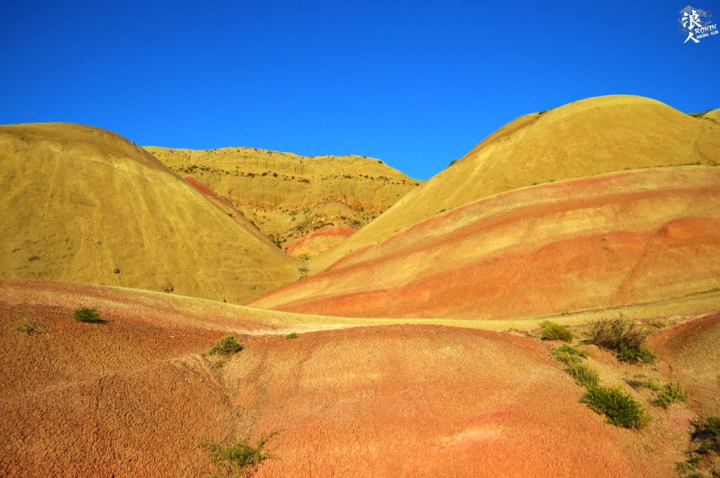 მოირონინე ფერადი უდაბნო