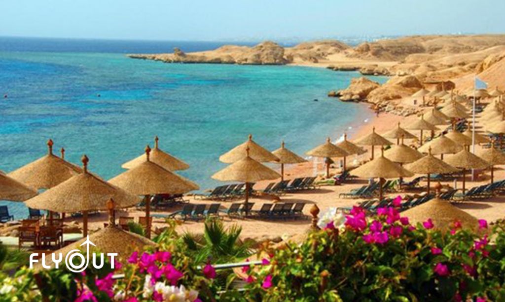 ეგვიპტე/შარმ ელ შეიხი