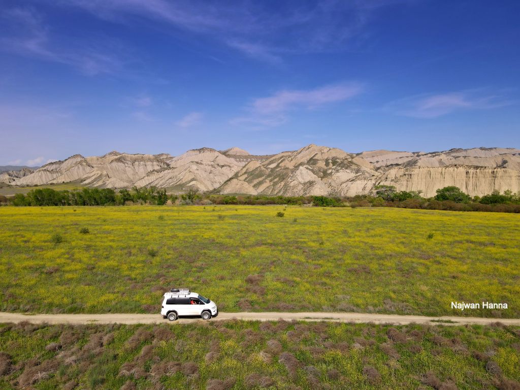 ვაშლოვანი - მიჯნისყურე / დღიანი ჯიპ ტური