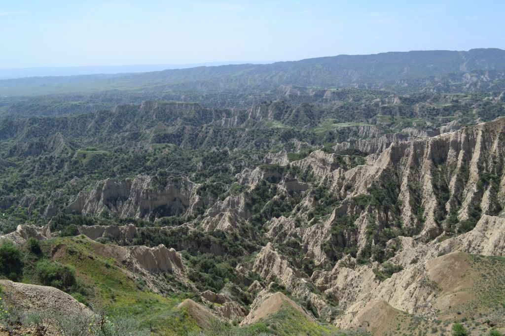 ვაშლოვანი - მიჯნისყურე / დღიანი ჯიპ ტური