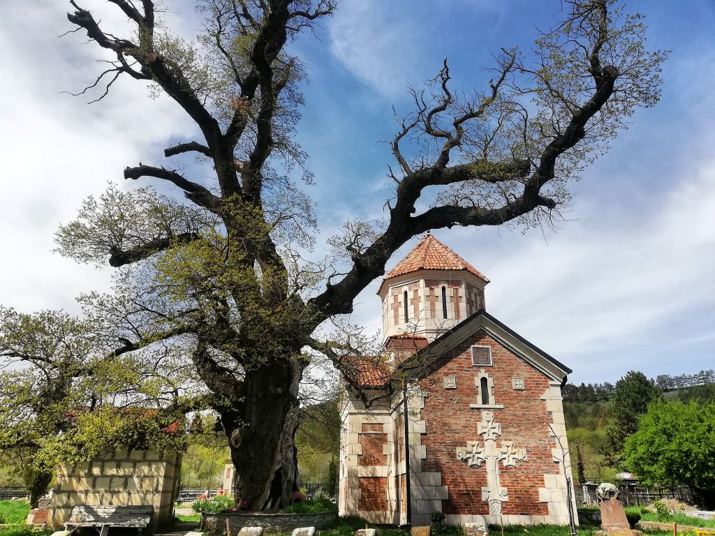 ტური მონატრებულ  ულამაზეს ძამის ხეობაში -მზოვრეთი, ქოზიფა, ორთუბანი, სანებელი...