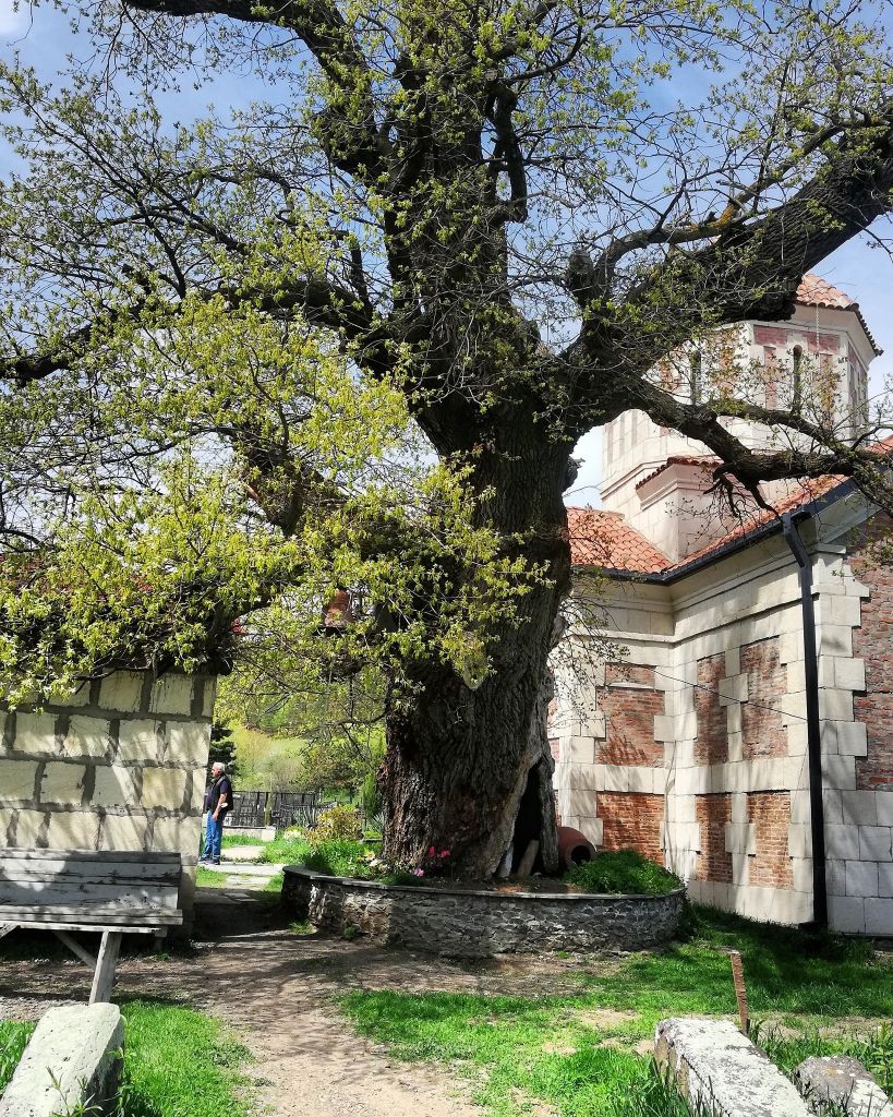 ტური მონატრებულ  ულამაზეს ძამის ხეობაში -მზოვრეთი, ქოზიფა, ორთუბანი, სანებელი...