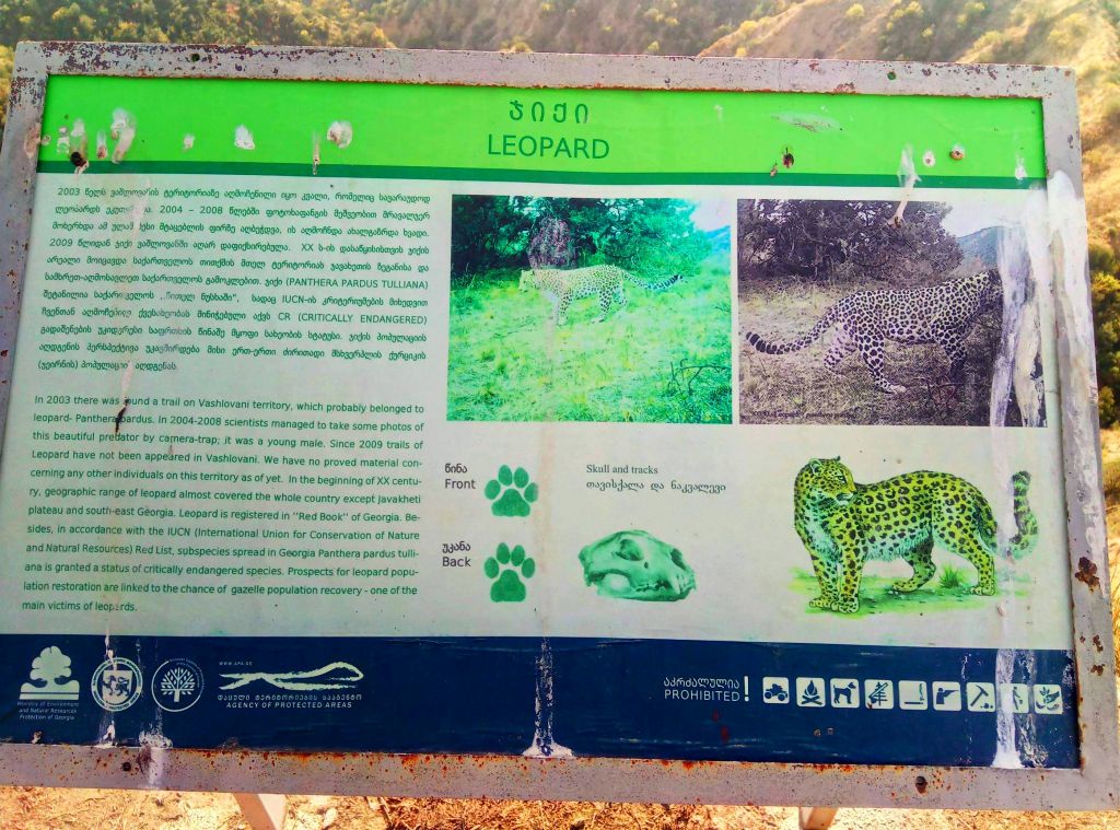 ორდღიანი ჯიპ-ტური ვაშლოვანის ნაკრძალში ❤️