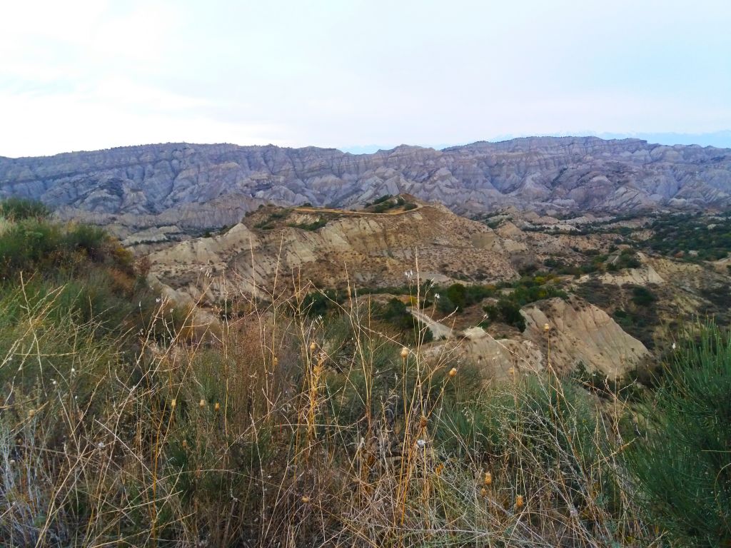 ორდღიანი ჯიპ-ტური ვაშლოვანის ნაკრძალში ❤️