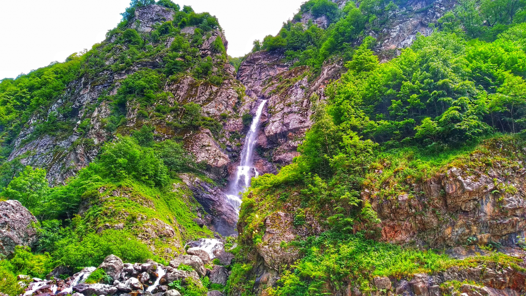 პანკისის ხეობა, ერთდღიანი ტური