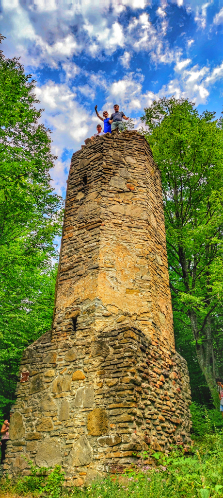 პანკისის ხეობა, ერთდღიანი ტური