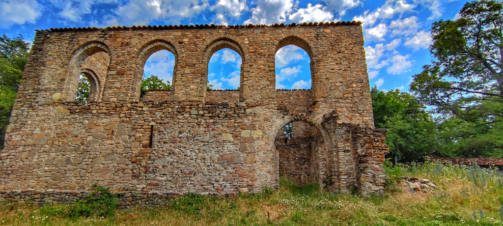 პანკისის ხეობა, ერთდღიანი ტური