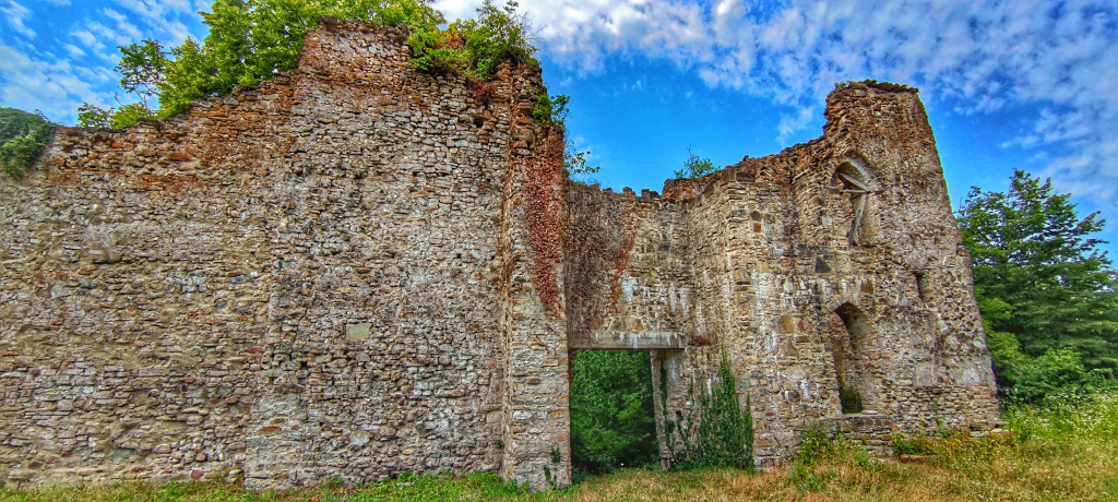 პანკისის ხეობა, ერთდღიანი ტური