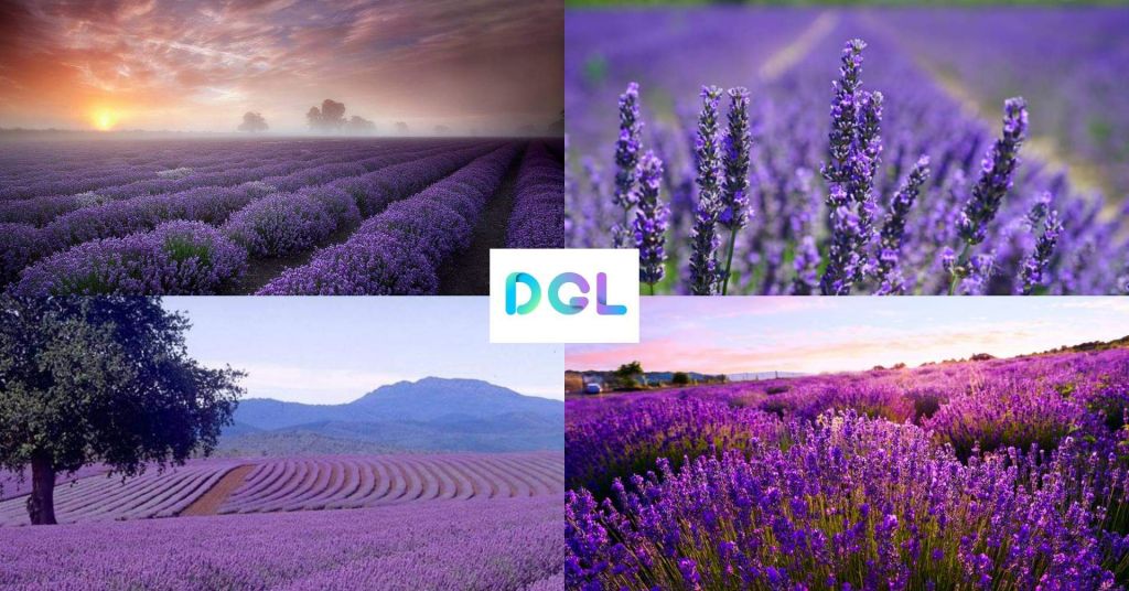 კახეთის ერთდღიანი ტური