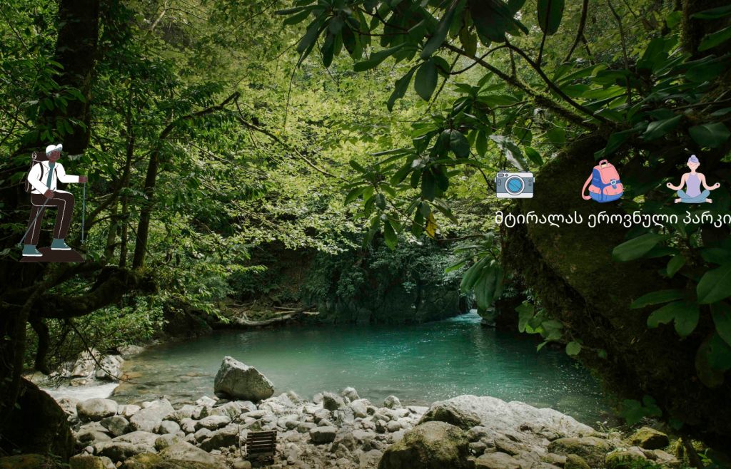 Mtirala national Park  -  day tour