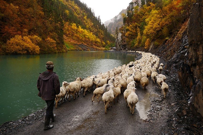 თუშეთი-ომალო