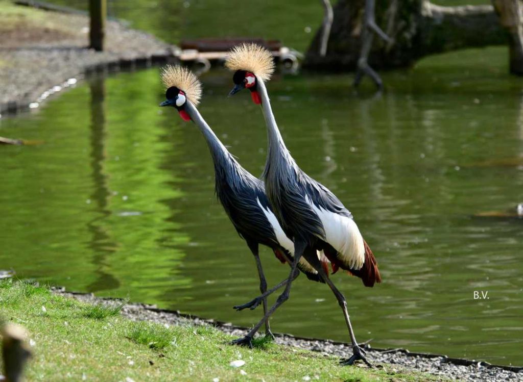 ორ დღიანი ტური კურორტ შეკვეთილში ❤