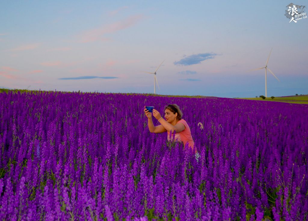 ტური სოსანების მდელოზე