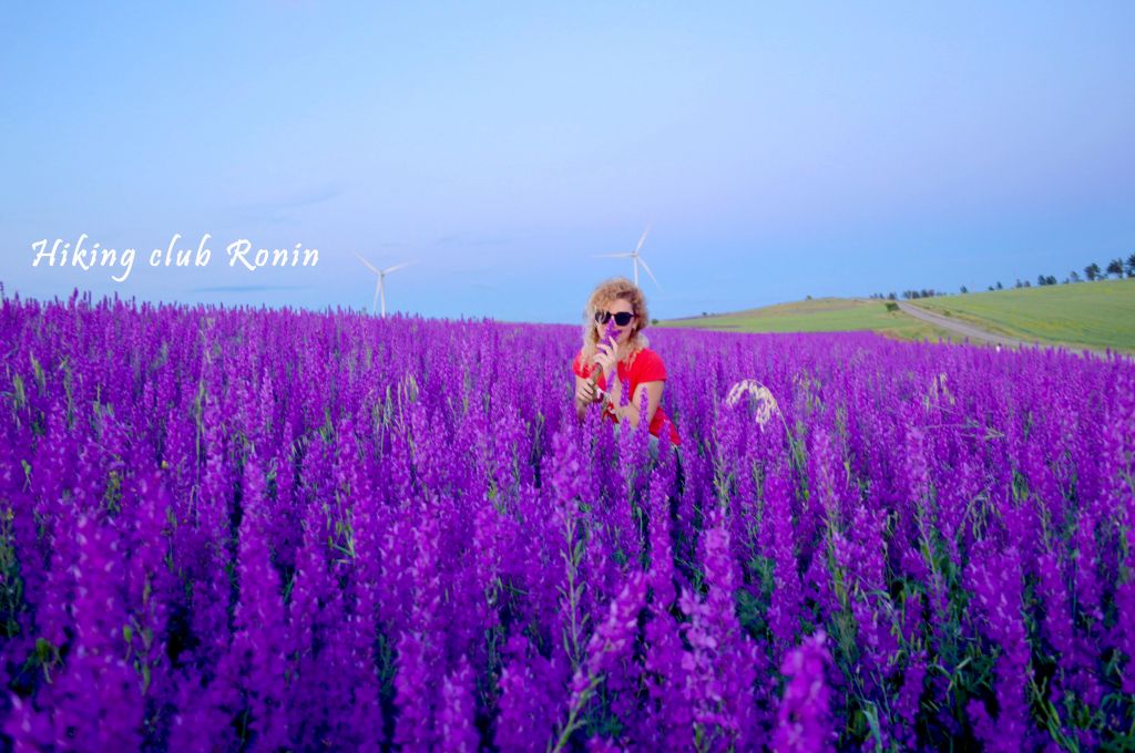 ტური სოსანების მდელოზე