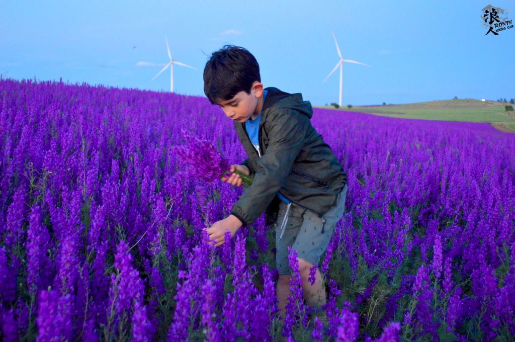 ტური სოსანების მდელოზე