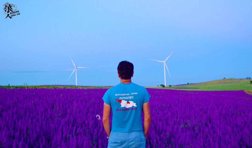 ტური სოსანების მდელოზე