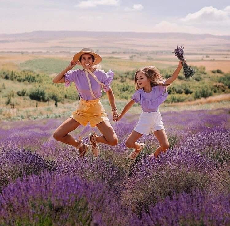 ლავანდების პლანტაცია კახეთში + ზიპლაინი!  ივნისს, კვირას