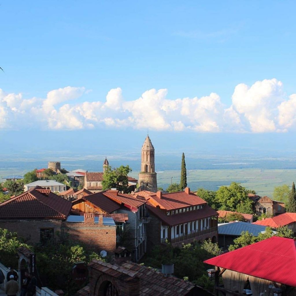 ლავანდების პლანტაცია კახეთში + ზიპლაინი! ივნისს, კვირას