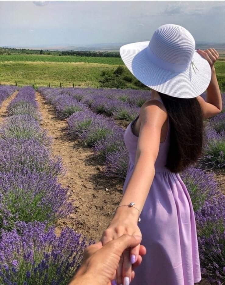 ლავანდების პლანტაცია კახეთში + ზიპლაინი!  ივნისს, კვირას