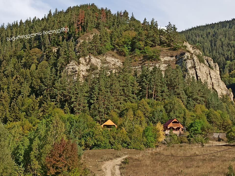 ბოშური, წეროსხევი, ვერეს ღვთისმშობლის ტაძარი,ატენის სიონი და ა.შ.