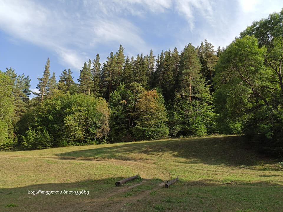 ბოშური, წეროსხევი, ვერეს ღვთისმშობლის ტაძარი,ატენის სიონი და ა.შ.