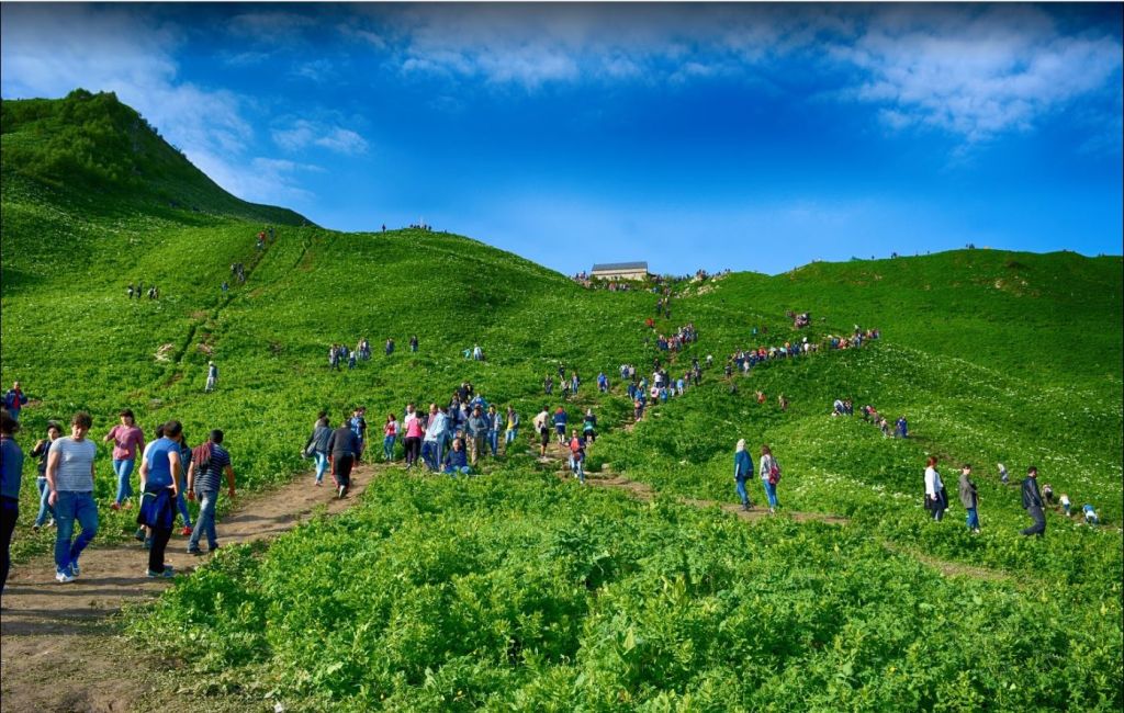 ლომისობა -  ივნისი