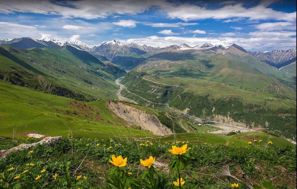 ლომისობა -  ივნისი