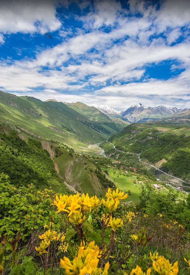 ლომისობა - ივნისი