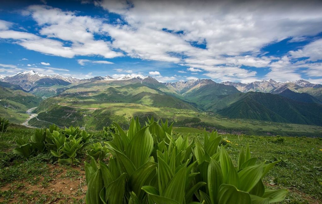 ლომისობა - ივნისი