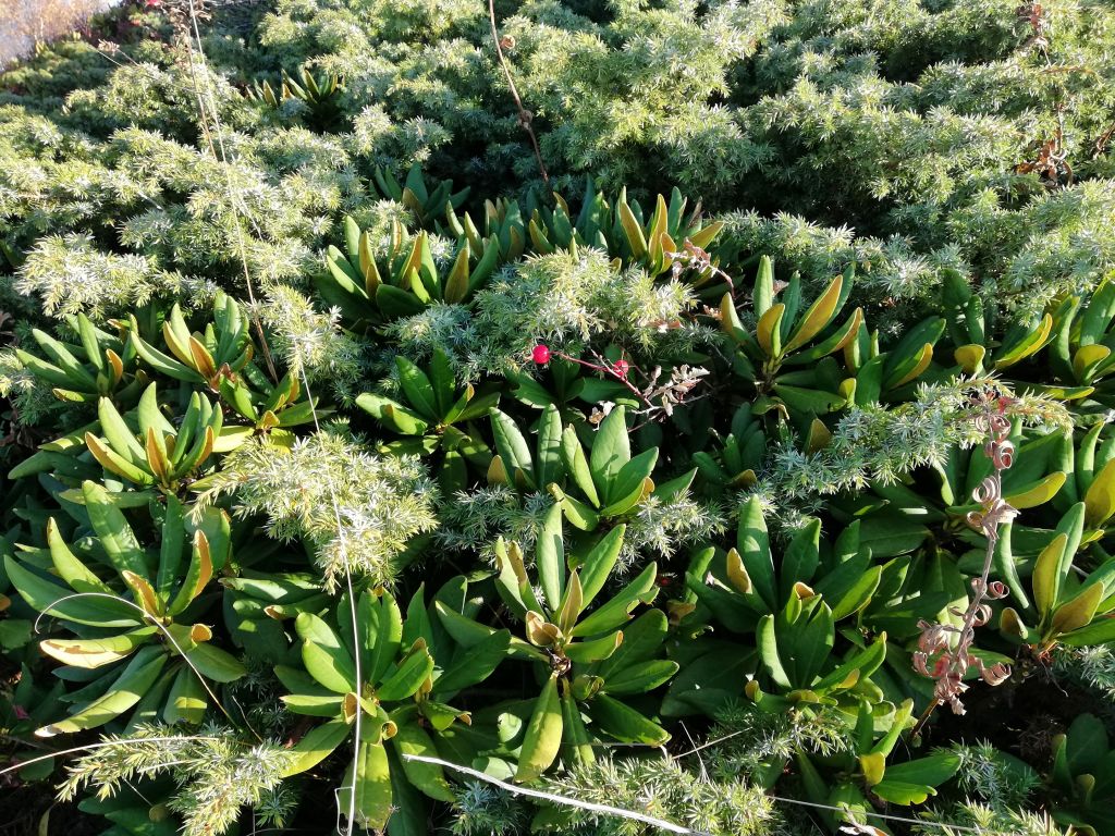 ,,ტური ზღაპარში“-მზოვრეთი-ქოზიფა-ქვემო შუანო-პანორამული ხედები-დეკას ყვავილობა-ორთუბანი-ბერთუბანი