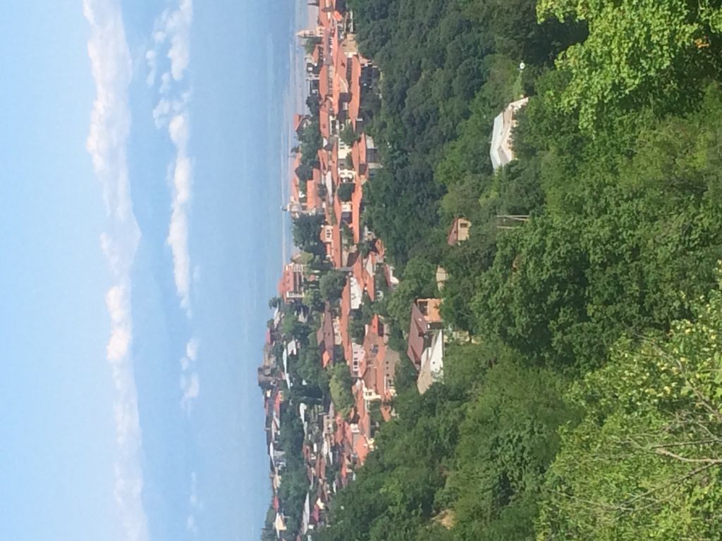 თბილისი : Туры по всей Грузии