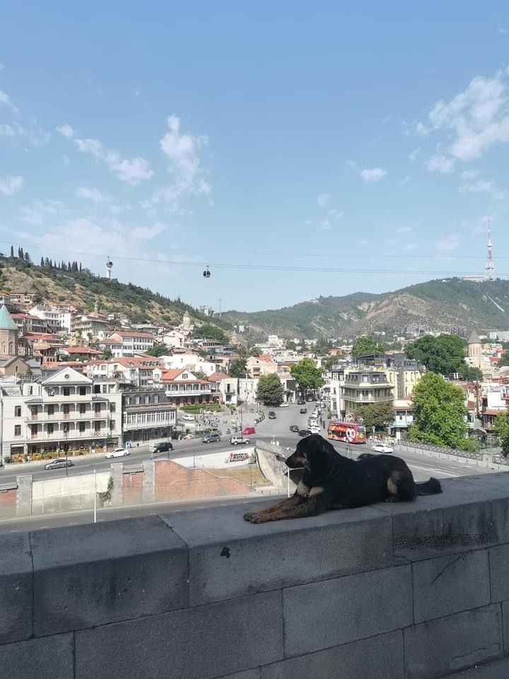 Туры из Батуми и из Тбилиси по всей направлении