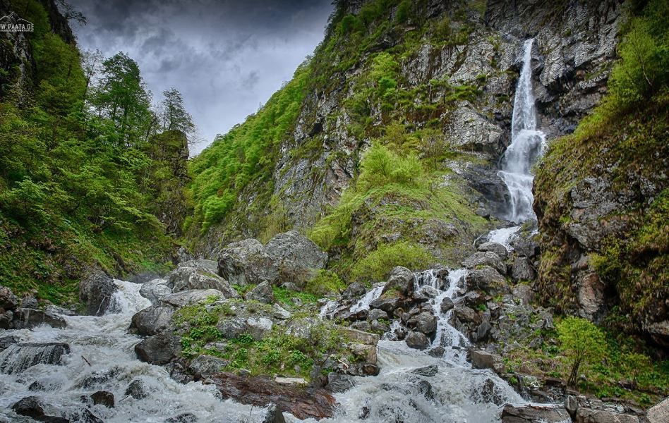 დღიანი გასტრო-ტური პანკისის ხეობაში! ივლისს,კვირას