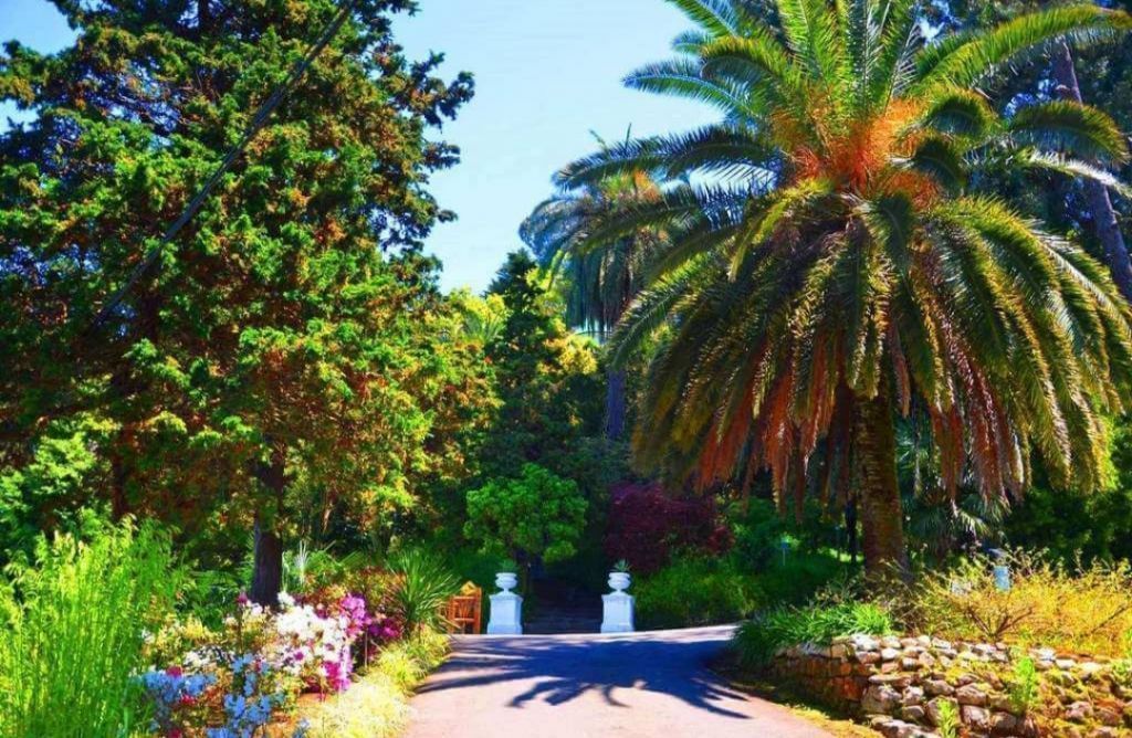 დღიანი ტური აჭარაში ... ბათუმი, შეკვეთილი, გონიო, ბოტანიკური ბაღი....