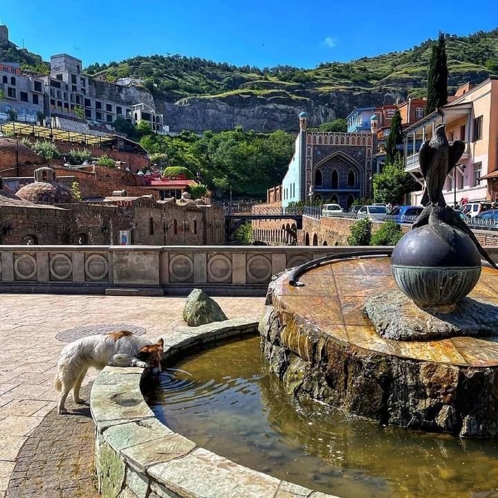 თბილისი და მცხეთა