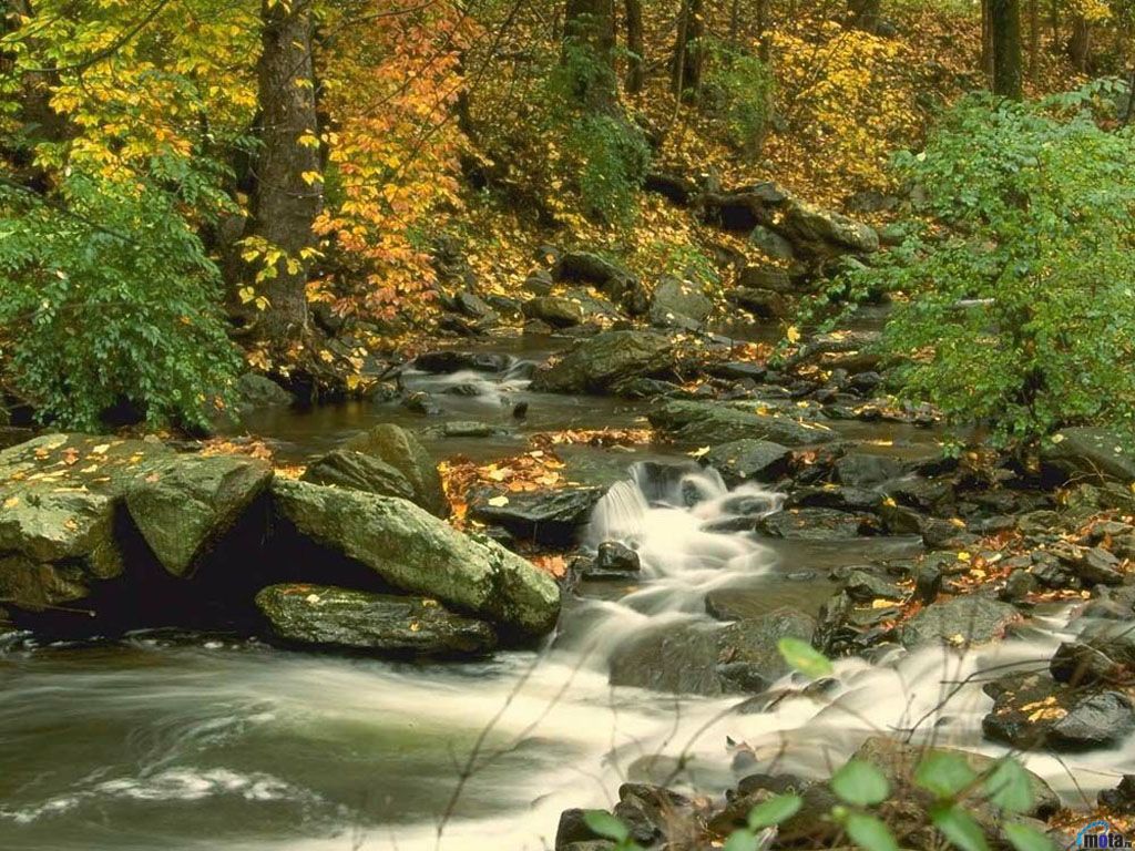 დღიანი სათავგადასავლო-სალაშქრო ტური ლაგოდეხის ნაკრძალში: -- ივლისი ; --- აგვისტო