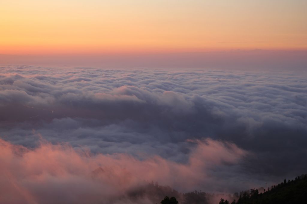 გომისმთის ტური : დარჩენილია ადგილი / - ივლისი
