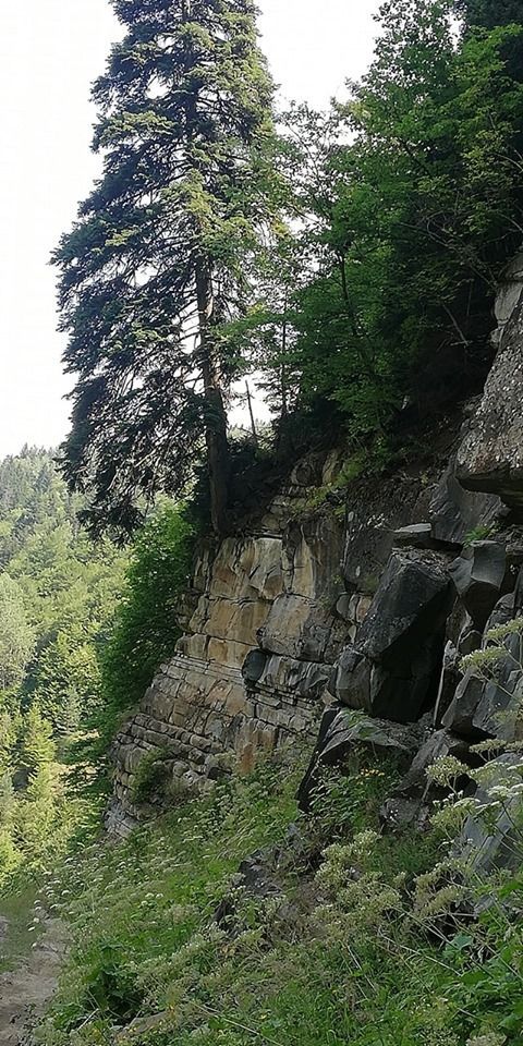 აღმოაჩინე უცნობი ძამის ხეობა-აბუხალოს ჩანჩქერი, აბუხალოს სკიტეები და მონასტრები...