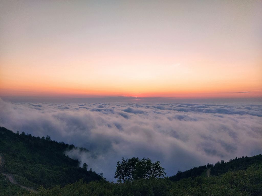 Two Days Trip in Gomismta and Dendrological park