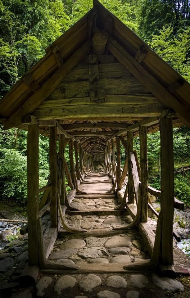 Тбилиси : Туры из Батуми и из Тбилиси по всей направлении