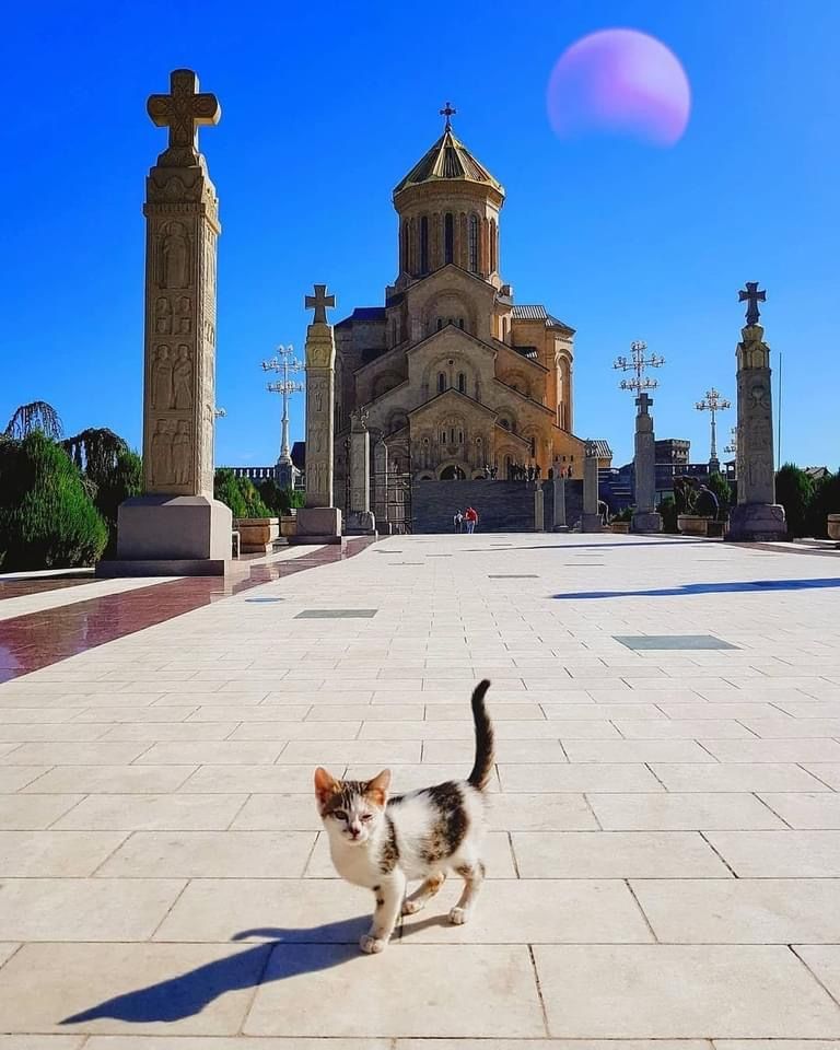 თბილისი და მცხეთა